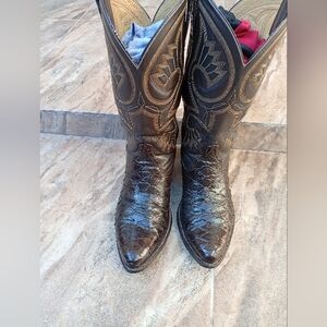 Anteater  Brown Western Leather Cowboy Boots